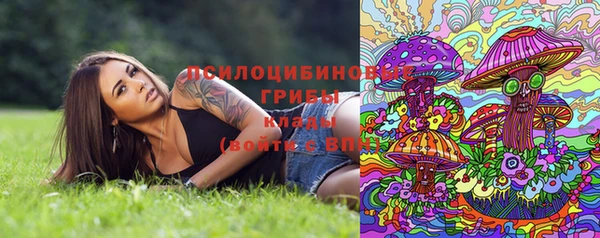 apvp Надым