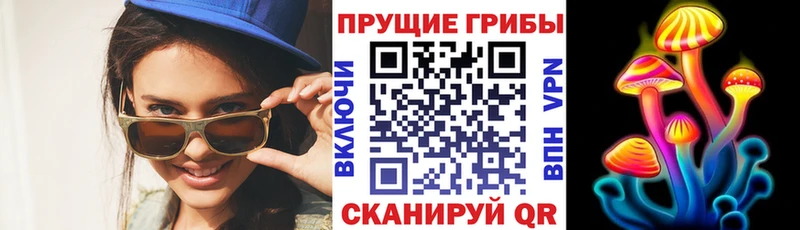 Галлюциногенные грибы Psilocybe  магазин    Сызрань 