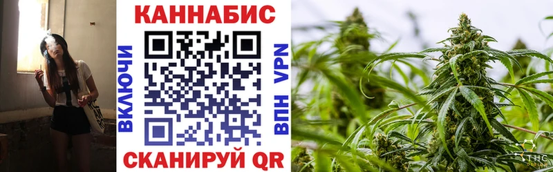 Каннабис сатива  купить   Сызрань 